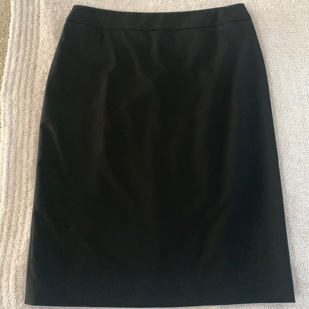 jMichaels Dressy Skirt.